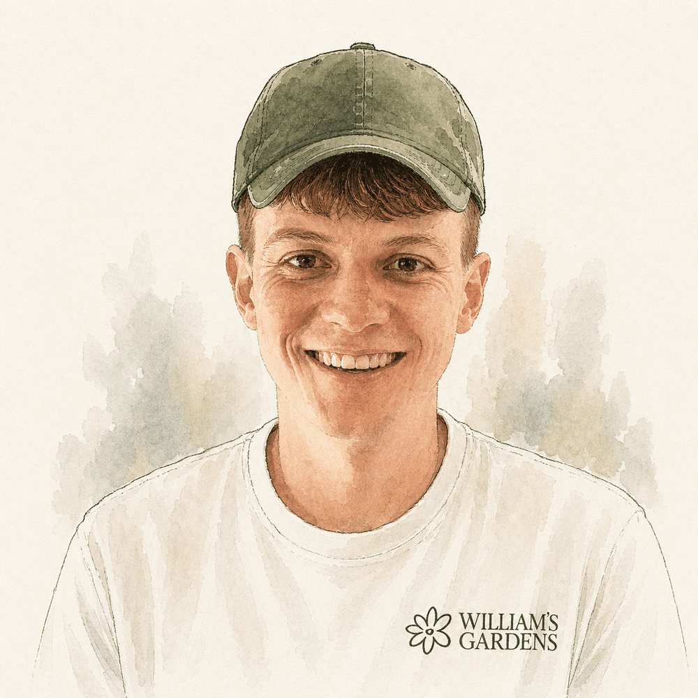 Illustration of Timothy Moynahan