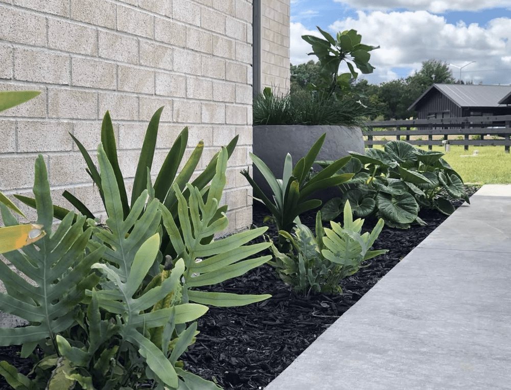 Garden with green plants along a concrete walkway and a brick wall