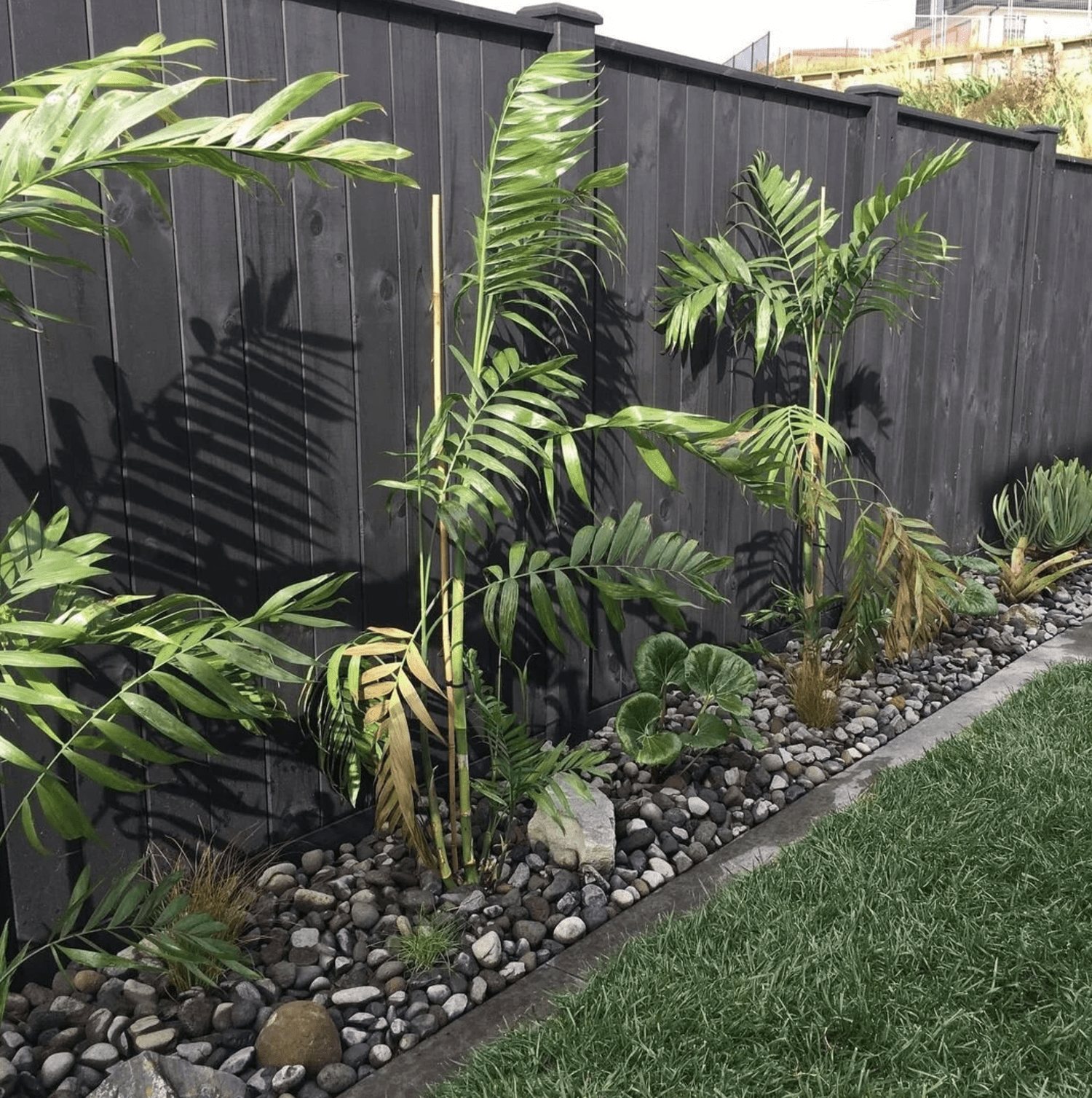 Black wooden fence running along a garden bed filled with a variety of green plants