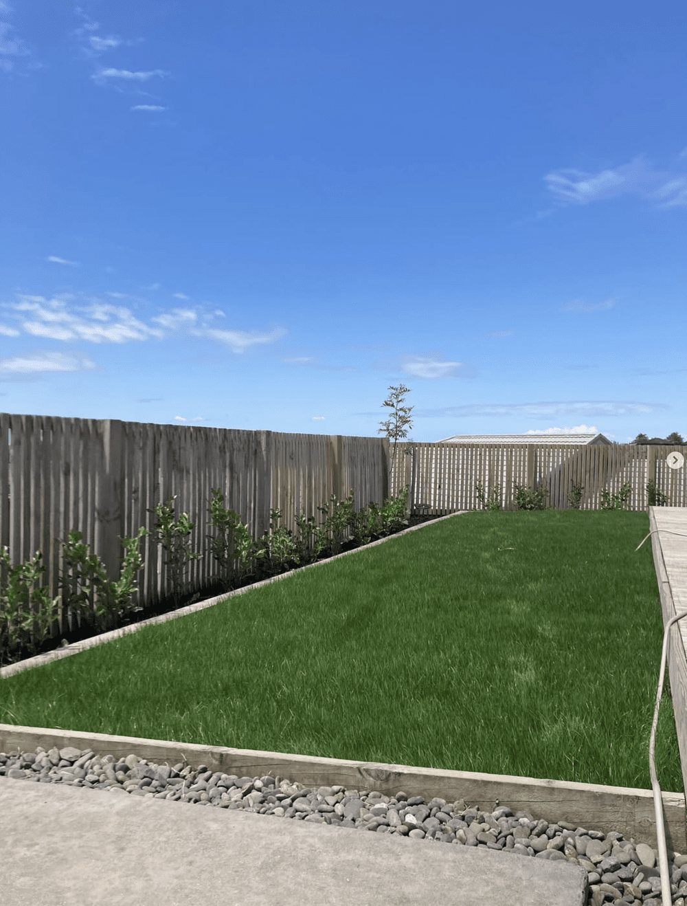 Backyard with a wooden fence, green grass, and small plants